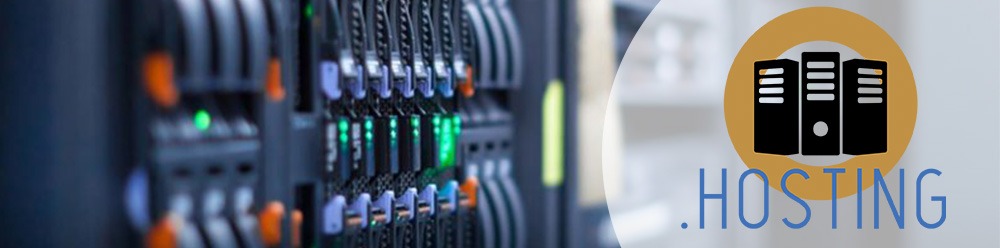 hosting domain name registration