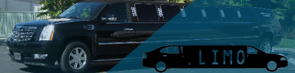 limo domain name registration